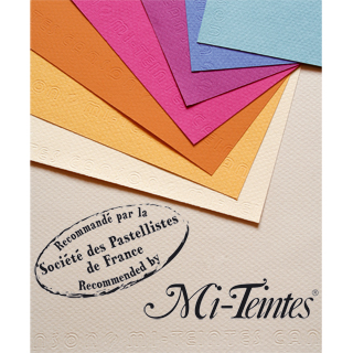 Canson Mi-Teintes - papier coloré 160g/m² - feuille 50x65cm